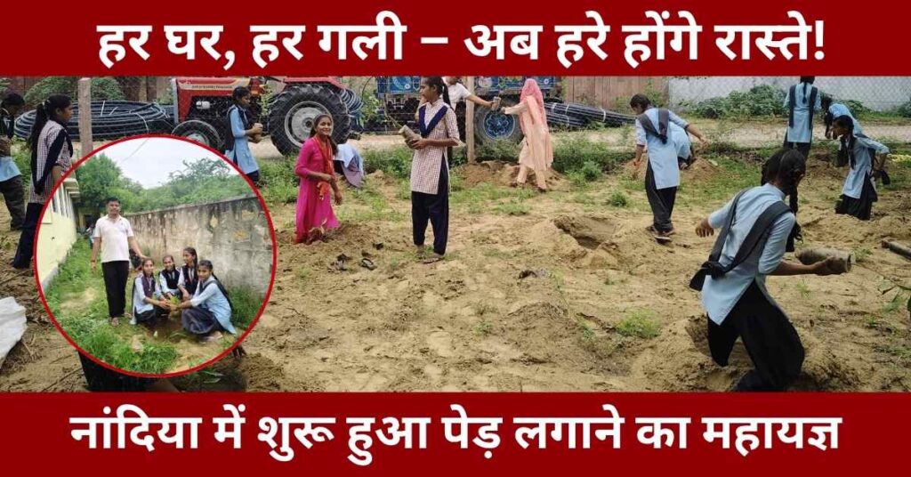 Massive Tree Plantation Drive Launched in Nandiya Village, Bhinmal